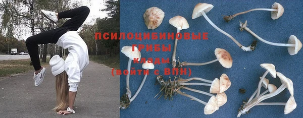 ГАЛЛЮЦИНОГЕННЫЕ ГРИБЫ Пестово