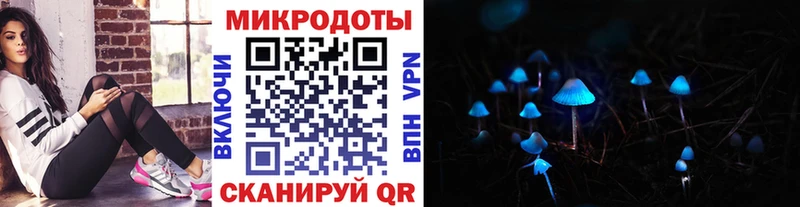 Купить закладки  Адыгейск  Галлюциногенные грибы прущие грибы 