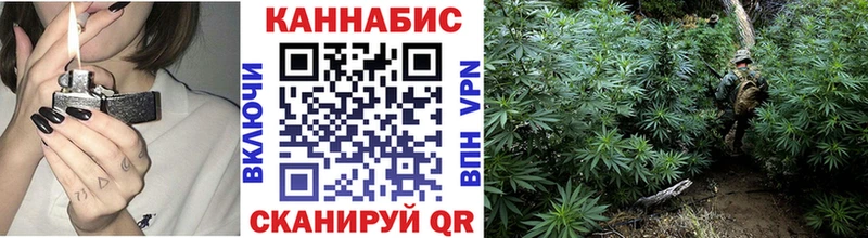 Купить закладки  Адыгейск  Каннабис конопля 